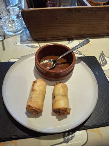 Fried Spring Rolls with Dipping Sauce.