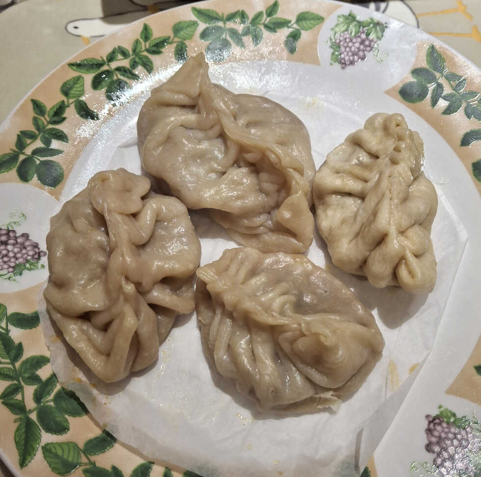 Dumpling Wrappers. Wrapped and Steamed
