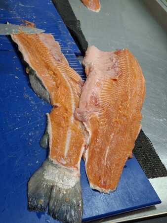 An (untidied) Fillet and the Fishy Skeleton.