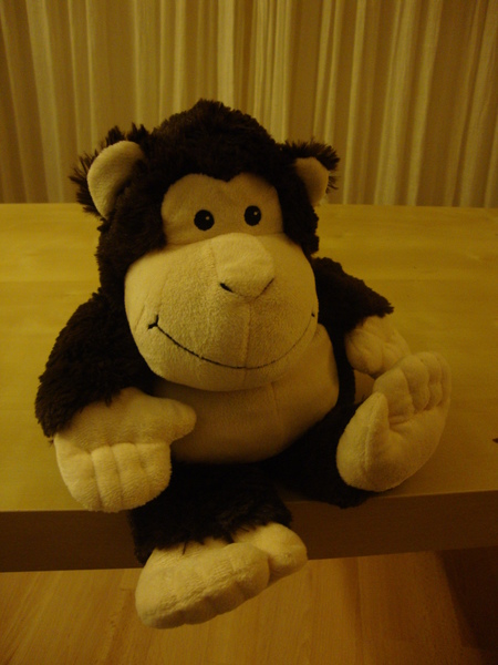 Mojo The Cuddly Monkey