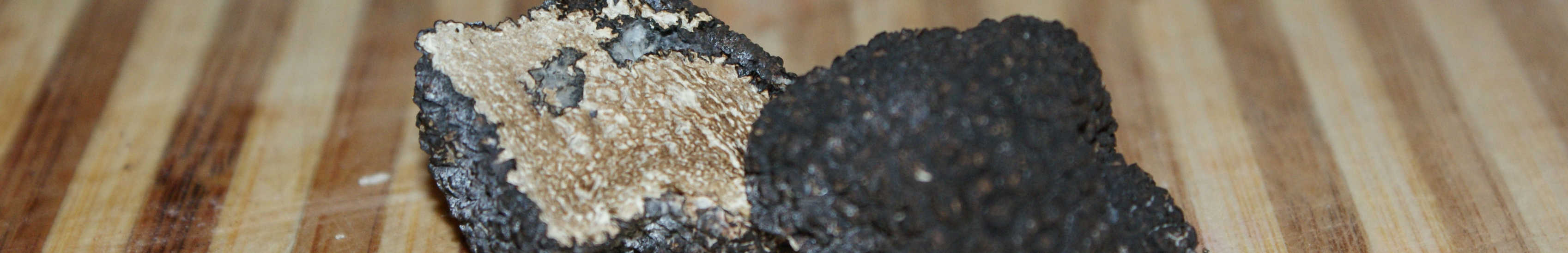 Black Truffle