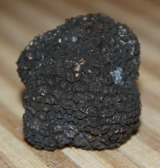 A Black Truffle
