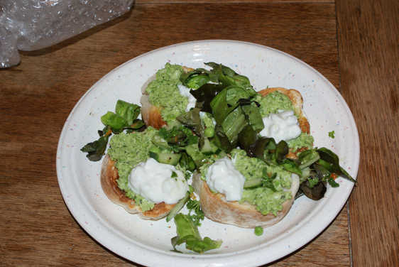 Broad Beans on Toast