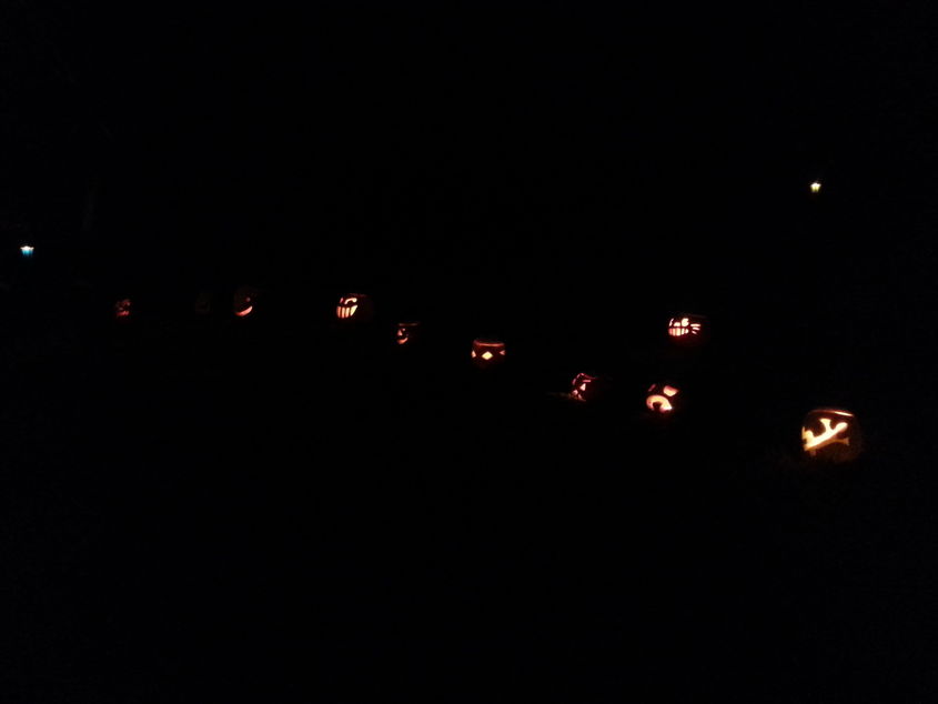 More Pumpkins On Parade