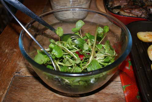 Watercress and Cranberry Salad