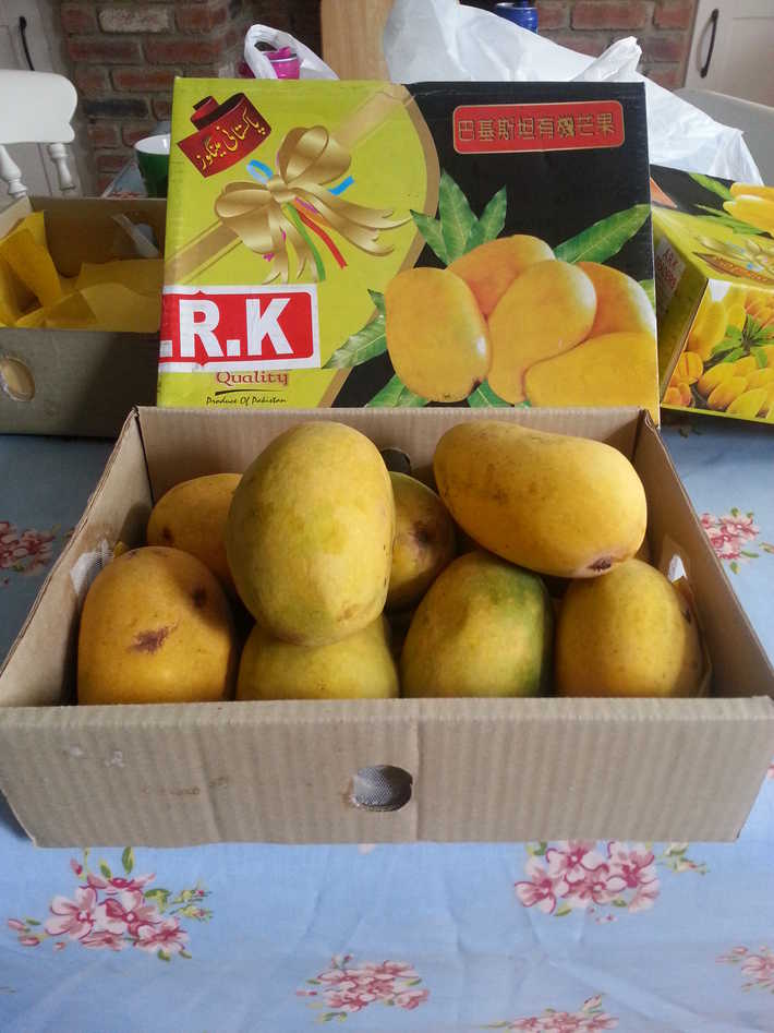 Just-Ripe Pakistani honey mangoes. Yumsk!