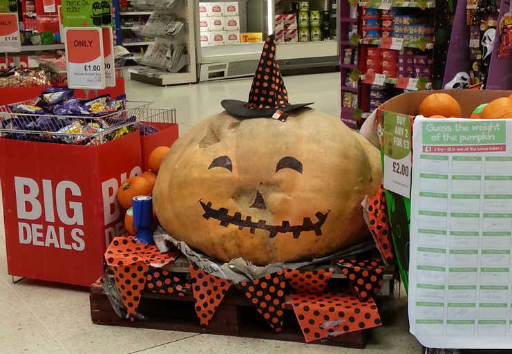 South Queensferry's Co-op's giant pumpkin