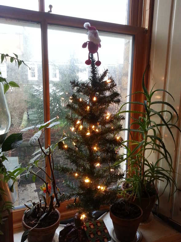 My Christmas Tree