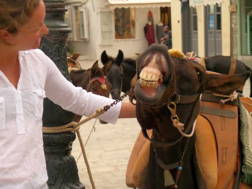 Cecilie admires a donkey in Hydra Port