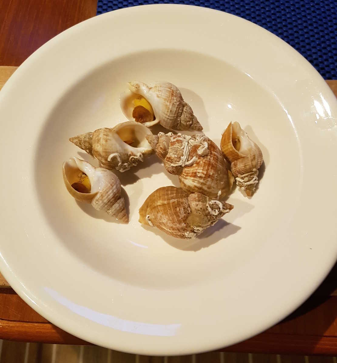 Plate of Whelks