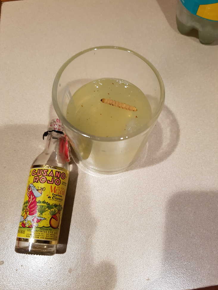 Tequila and Bitter Lemon