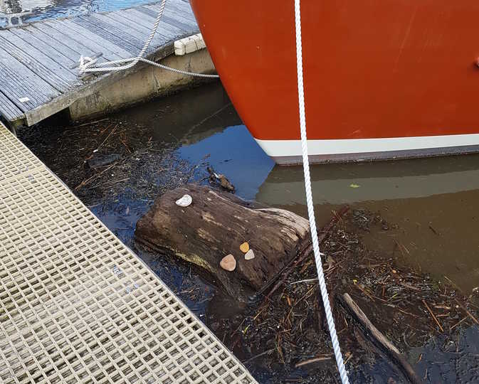 A massive log visits Port Edgar