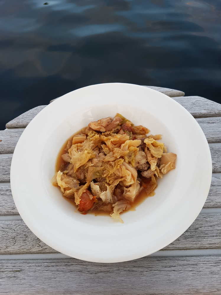 Chicken and Cabbage Stew