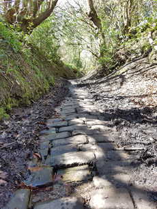 Dark Lane 'hollow way'