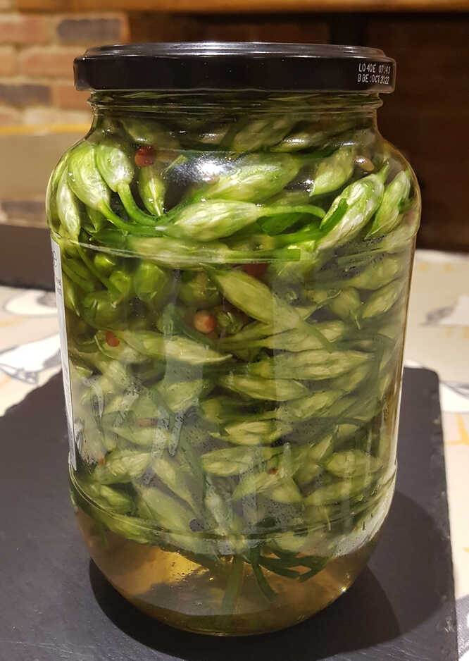 Pickling those Wild Garlic Buds
