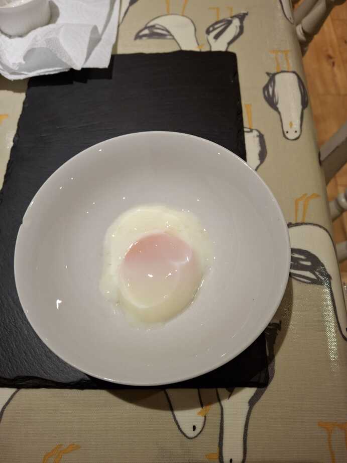 45 Minute Onsen Egg