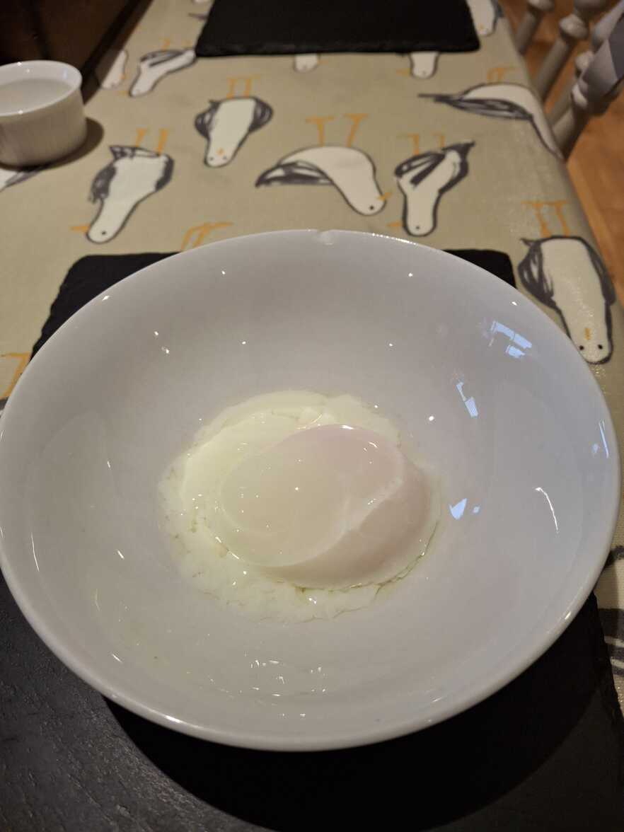 90 Minute Onsen Egg