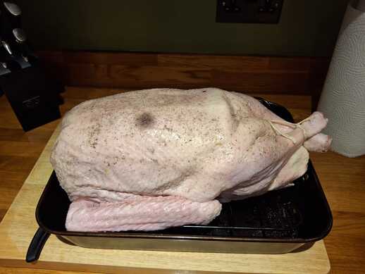 Raw Goose