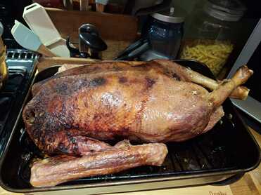 Cooked Goose