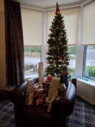 Presents under the tree.