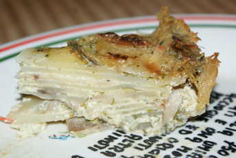 A slice of novelty gratin.