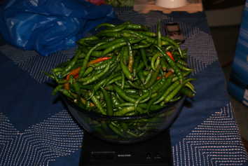 3lb Chillies