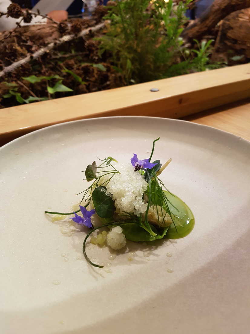 Oyster, radish & cultured cream